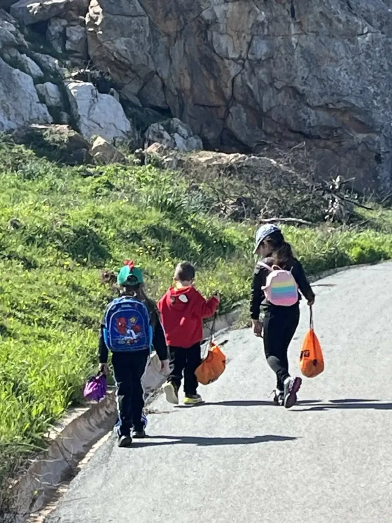 VB5