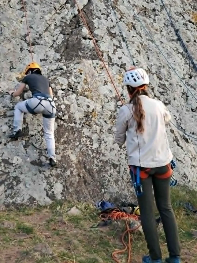 VB6